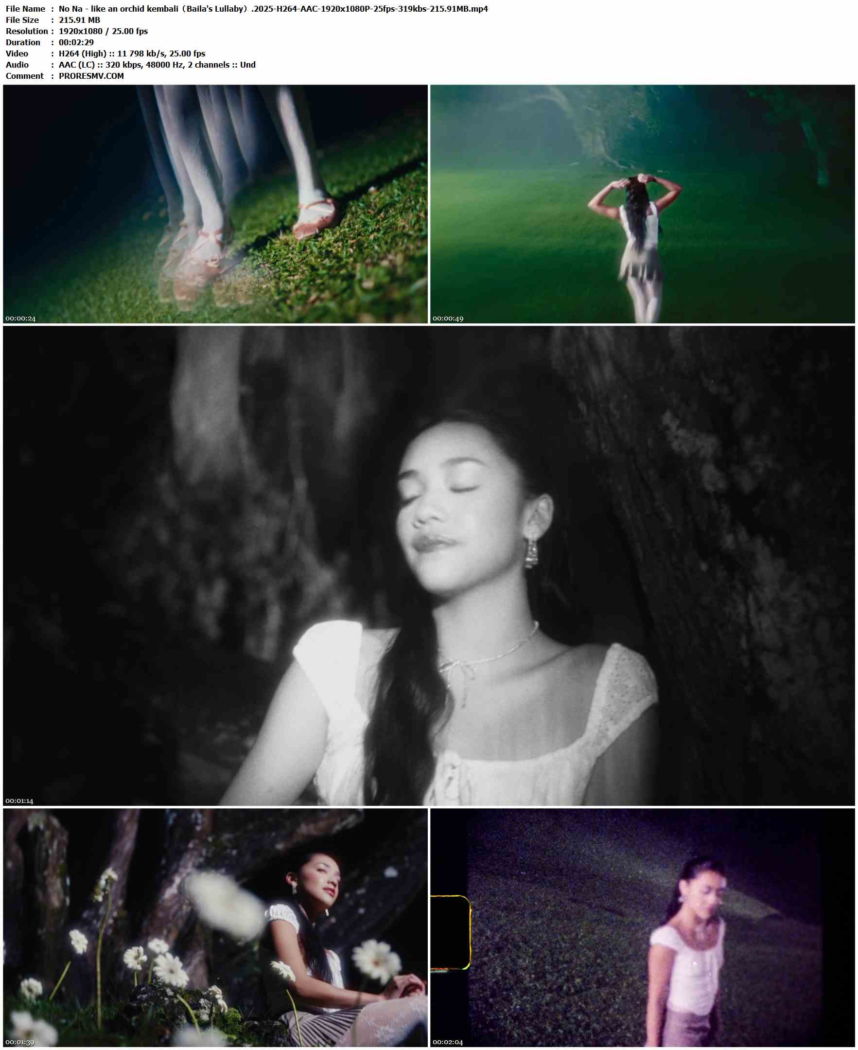 No Na - like an orchid kembali（Baila's Lullaby）.2025-H264-AAC-1920x1080P-25fps-319kbs-215.91MB官方MV_高清MV